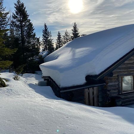 Villa Saarua: Ski-In Accommodation with Family-Friendly Amenities Ruka Exterior photo